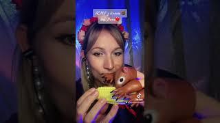 ASMR squirrel  #асмр #аsmr  #асмрукраїнською #relax