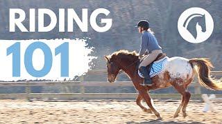 HOW TO RIDE A HORSE (EASY BEGINNERS GUIDE)