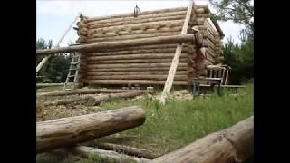 Дикий Сруб Своими Руками. Подъем Бревен / Log House Building. Raise Logs