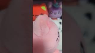 Peach Meowchi is a BIG DEAL  |  #Meowchi #shorts