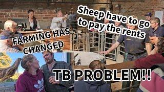 TB PROBLEM! Rents to pay sheep have to go, Farming isn't what it used to be