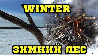 Зимняя Вылазка в Лес Winter Forest (24.02.2014)