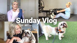 LuluLemon Dupes & Fantastic News  -SUNDAY VLOG