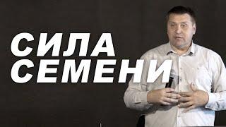 Дмитрий Макаренко – Сила семени (2019)