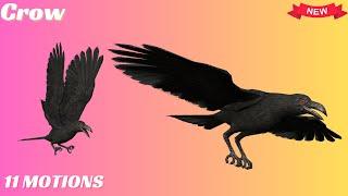 Crow animals Iclone 8 used with free download pack