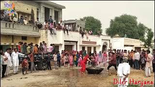 Diler Haryana :-  हरियाणा की कोरड़ेमार होली !Haryanvi Geet । हरियाणवी गीत ।