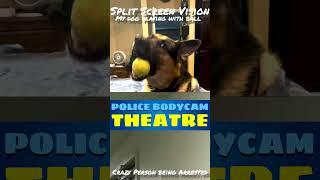 Split Screen Video: My Dog Playing with his ball/Disturbed Person being Arrested