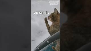 Cat vs Snow (Русская озвучка)