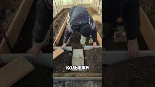 Дорожка в теплице своими руками
