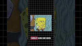 kenapa rekaman suara sendiri aneh?