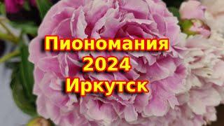 Выставка пионов в городе Иркутске - "Пиономания" 2024 год