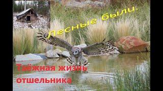 Отшельники.Таёжный отшельник. Тридцать лет одиночества.Один в тайге. 6 фильм.