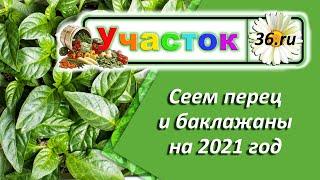 Сеем перец и баклажаны. Оценим, как производители упаковывают семена