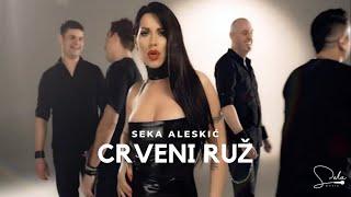 SEKA ALEKSIC - CRVENI RUZ (OFFICIAL VIDEO)