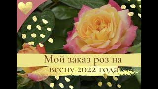 Мой заказ роз на весну 2022 года.