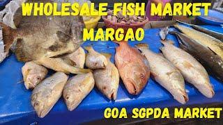 Wholesale Fish Market Margao Goa SGPDA Market Seafood Market Fatorda, Madgaon, Goa