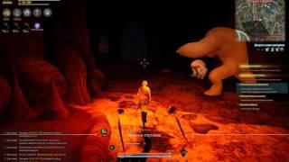 Black Desert - truffle location 5/10
