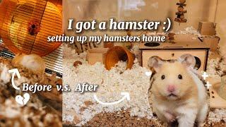 My New Hamster  Hamster Cage Set Up  Supply Haul  I Adopted A Syrian Hamster Vlog