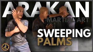 Learn Martial Art Sweeping Palms - Best martial art for self defence