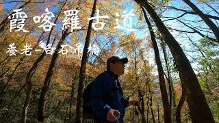 一日郊山 ｜ 霞喀羅古道 - 賞楓 - 白石吊橋 ｜ 如何一日走訪知名的賞楓步道又不會太累 ｜ 2020-12-26