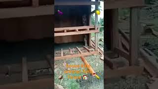 sotera little summer farm house #ofw investment