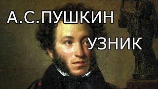 А.С.ПУШКИН УЗНИК