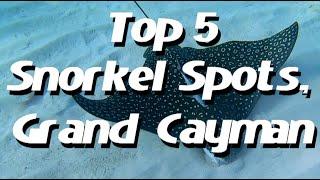 Top 5 Grand Cayman Snorkel Spots