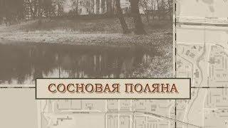 Сосновая поляна / «Малые родины большого Петербурга»