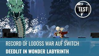 Record of Lodoss War - Deedlit in Wonder Labyrinth im Switch-Test (Review, German)