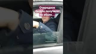 воспитание быдла в нижнем новгороде