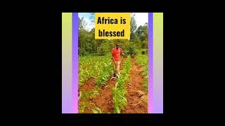 #farming #go #viral #clip