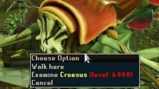 First GWD3 SKILLING BOSS! (Croesus)