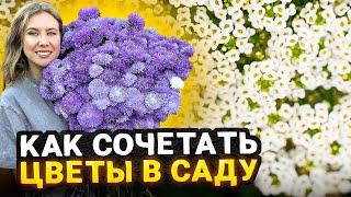 КАК КРАСИВО СОЧЕТАТЬ ЦВЕТЫ НА КЛУМБЕ | Идеи создания стильного сада