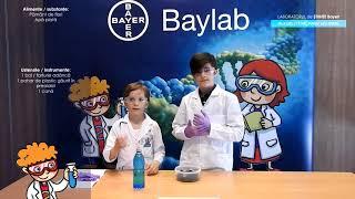 Experimente Baylab - Unde se duce apa?