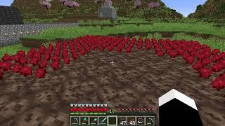 Nether Wart farming guide, how to farm nether warts - Minecraft 1.21