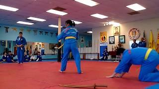 Vovinam Viet Vo Dao - Tu Ve Nu (April 19, 2015)