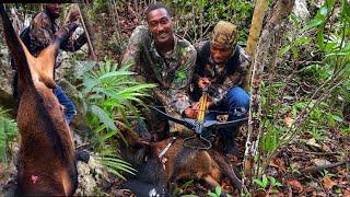 EPIC Crossbow hunting for MOUNTAIN GOAT /wild ram catch clean cook French fry mutton Jamaica 