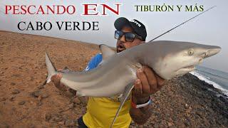 SURFCASTING EN EL PARAISO DE EL PESCADOR ... 4 HORAS Y ACTIVIDAD FRENETICA.. SURFCASTING GRANADA