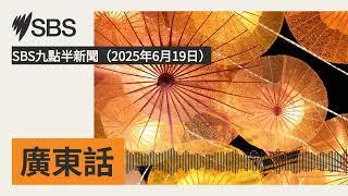 SBS九點半新聞（2025年6月19日） | SBS Cantonese - SBS廣東話節目