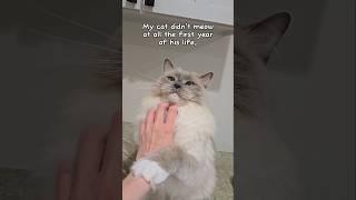 Anybody else have a cat that meows with their tongue like this? 