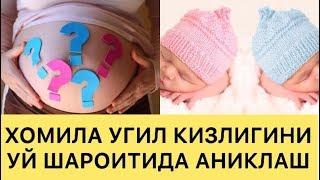 УГИЛ ЁКИ КИЗ ФАРЗАНД КУРИШНИ УЙ ШАРОИТИДА АНИКЛАШ