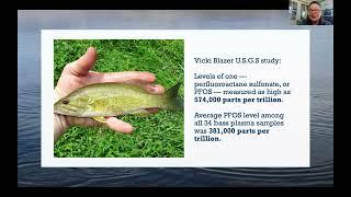 Monitoring PFAS in Bay Waters