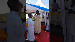 The priest receives the word of God #shorts