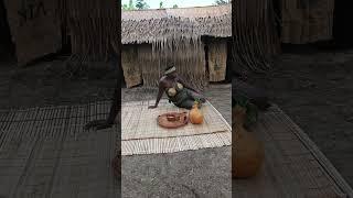 African life style  | Mr Macaroni | izon tv  | ijaw tv | pouma | Nigeria | yawa skits