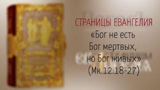 Страницы Евангелия: "Бог не есть Бог мертвых, но Бог живых" (Мк.12:18-27)