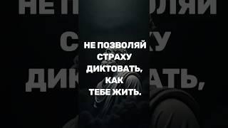 Никогда не позволяй страху диктовать, как тебе жить #стоицизм  #философия #саморазвитие