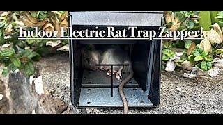 Indoor Electric Rat Trap Zapper! Ours is Victor From Amazon!