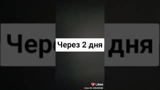 23 декабря 2019 г.(7)