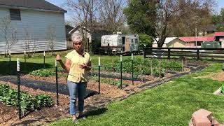 Farm to Fridge and More - Annie's Flowers