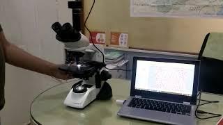 Trinocular Microscope - Description [on Sale]